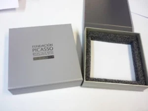 Estuche Picasso espuma estampación plata