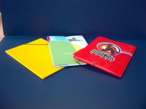 Carpetas escolares gomas