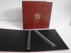 Mecanismo plástico transparente