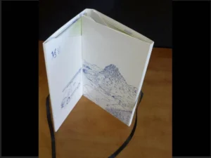 Carpetilla tríptico bolsillo cierre cintas 2