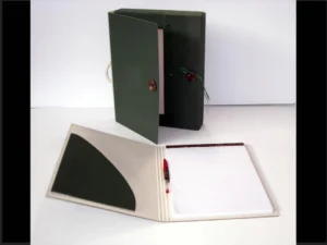 Maletín micro flute y flute