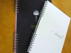 Wireo en secciones agendas