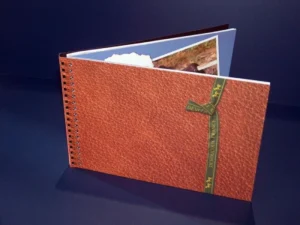 Wireo oculto portada