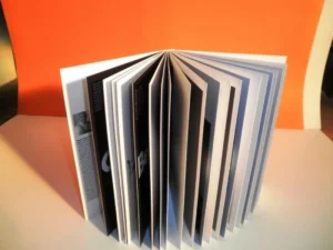 Encuadernación dípticos japonesa