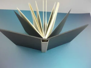 Detalle libro encuadernado en dos rapporte